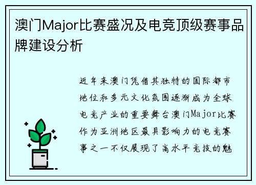 澳门Major比赛盛况及电竞顶级赛事品牌建设分析